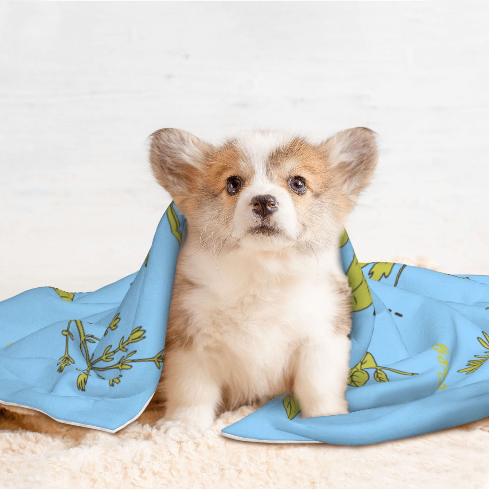 Naloa Herbs and Spices Dog Blanket, 3 Sizes Cat Blanket for Indoor Cats Large Medium Small Dog Gifts-Medium