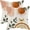 Boho 01, variant on Boho Summer Pillow Covers 20 x 20 Inch, Fall Orange Rainbow Sun Moon Decor Throw Pillows for Couch Bed, Modern Abstract Leaf outdoor Farmhouse Decorative Pillowcase Linen Cushion Cover Set of 2