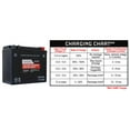 thumbnail image 6 of Factory Racing Parts FRZ14S AGM Battery  Maintenance Free  Ready to Install - Compatible With Motorcycles and Scooters YTZ14S, YTZ12S, BTZ12S, BTZ14S, 6 of 6
