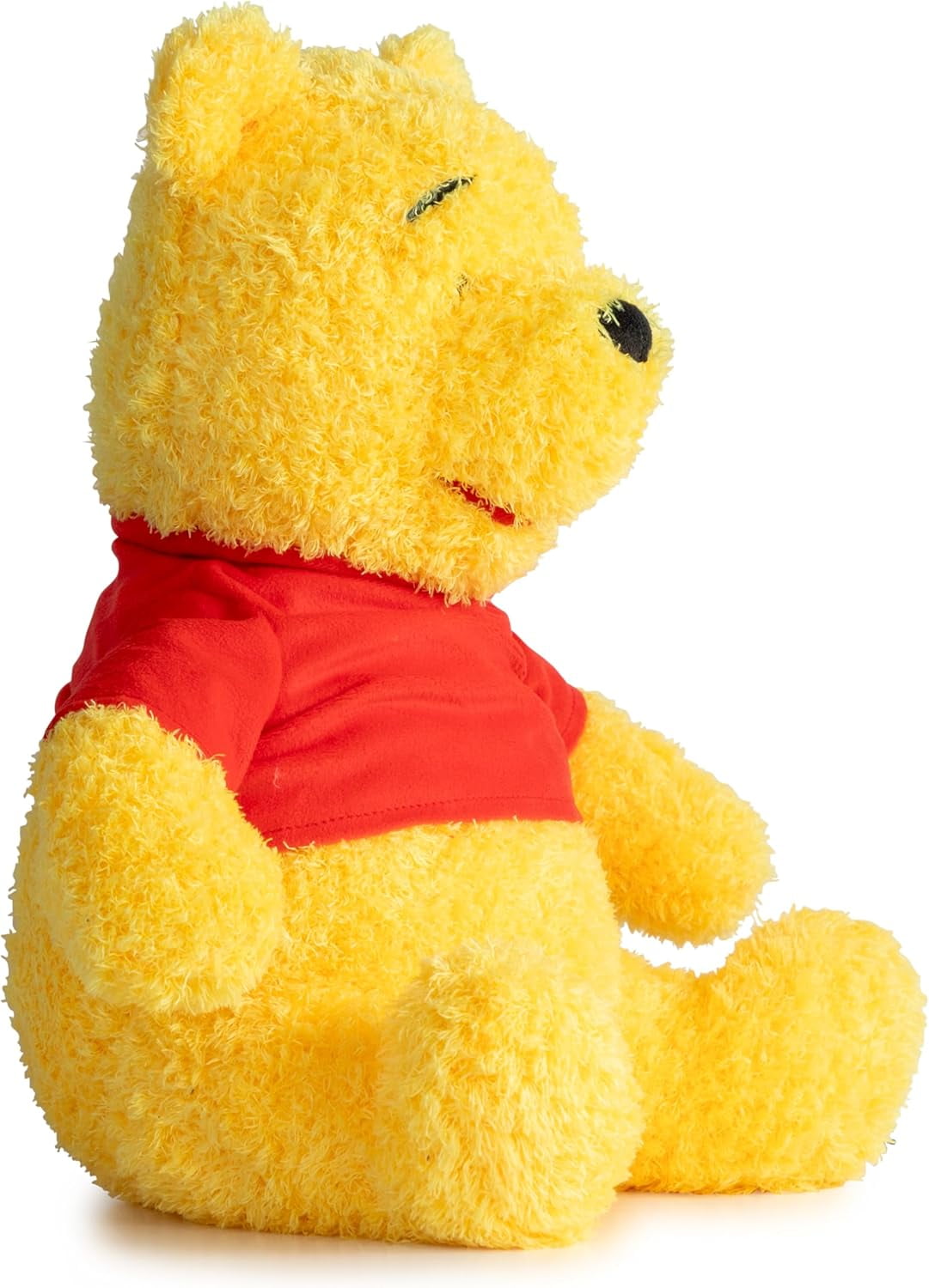 Winnie The Pooh Fuzzy Plush Pillow Buddy