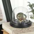 thumbnail image 2 of Plymor 3" x 3" Glass Display Dome Cloche (Black MDF Wood Base), 2 of 4
