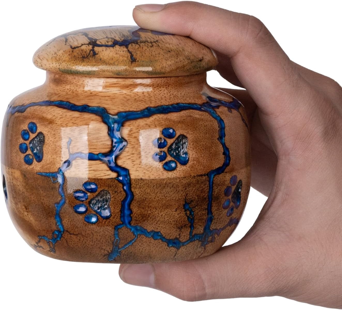Wood Pet Urns for Dog/Cat Ashes - Small 10 Cu/in Resin Decorative Urn for Ashes for Dog, Urns for Cats - Pet Memorial Remembrance Box