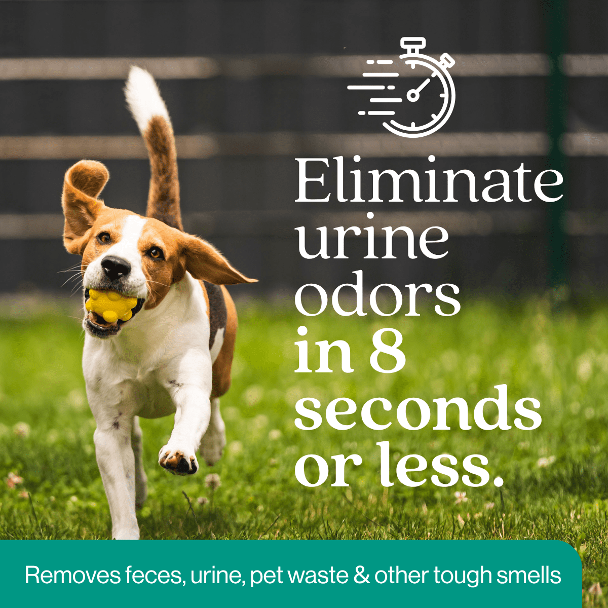 Eco Strong Outdoor Odor Eliminator: Dog and Cat Deodorizing Spray, Eucalyptus Scent, 32 oz Bottle