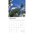 thumbnail image 4 of Goats in Trees | 2026 12x24" (Hanging) Square Wall Calendar | Plastic-Free, 4 of 9