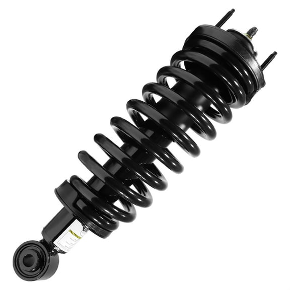 Suspension Strut and Coil Spring Assembly