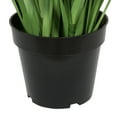 thumbnail image 4 of Vickerman 48" Artificial Potted Extra Full Green Grass., 4 of 5