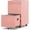 Pink, variant on Allgain 2 Drawer Metal File Cabinet with Lock, Black,Assembly Required | Rolling metal cabinet for letter/legal files, under-desk storage, home offices, and business workspaces.