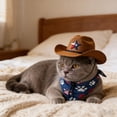 thumbnail image 5 of erdimoy Patriotic Cowboy Hat & Bandana Set for 23 Inch Porch Goose, 4th of July Lawn Goose Outfit, Patriotic Porch Decor for Garden Goose, 5 of 6