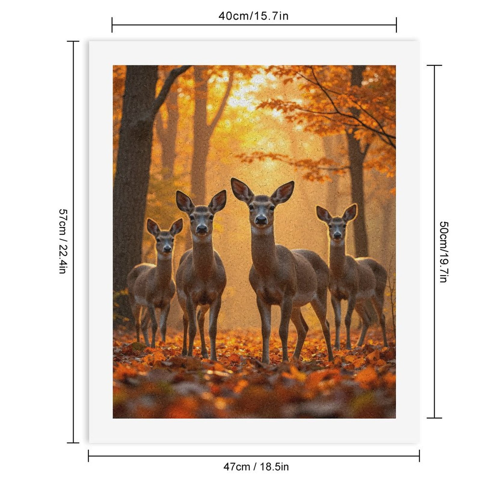 Paint by Numbers Kit for Adults, Deer In Autumn Forest Light Paint by Numbers, Easy Paint by Numbers Kit for Adults Beginner, DIY Adult Paint by Number Kits on Canvas, Home Decor