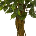 thumbnail image 3 of Nearly Natural 4' Ficus Artificial Tree UV Resistant (Indoor/Outdoor), 3 of 5