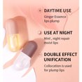 thumbnail image 5 of Juego de potenciador de labios de 2 uds, maquillaje Natural, brillo de labios, potenciador de labios para labios más hidratados, 5 of 5