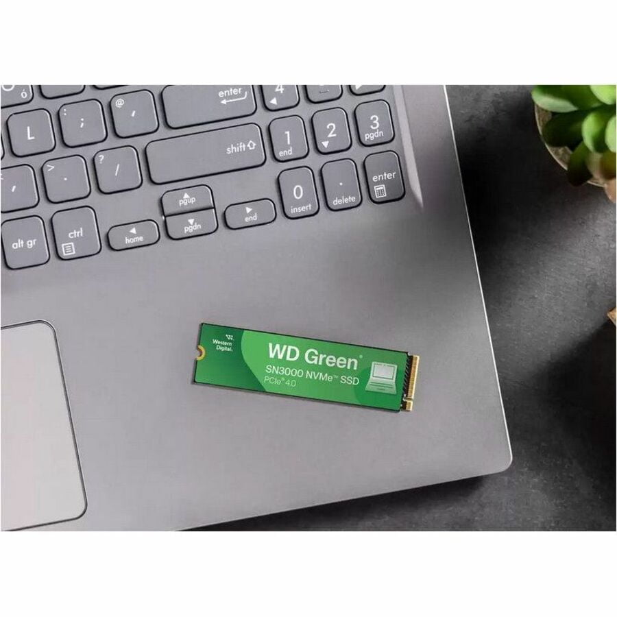 WD Green SN3000 WDS200T4G0E-00CPS0 2 TB Solid State Drive, M.2