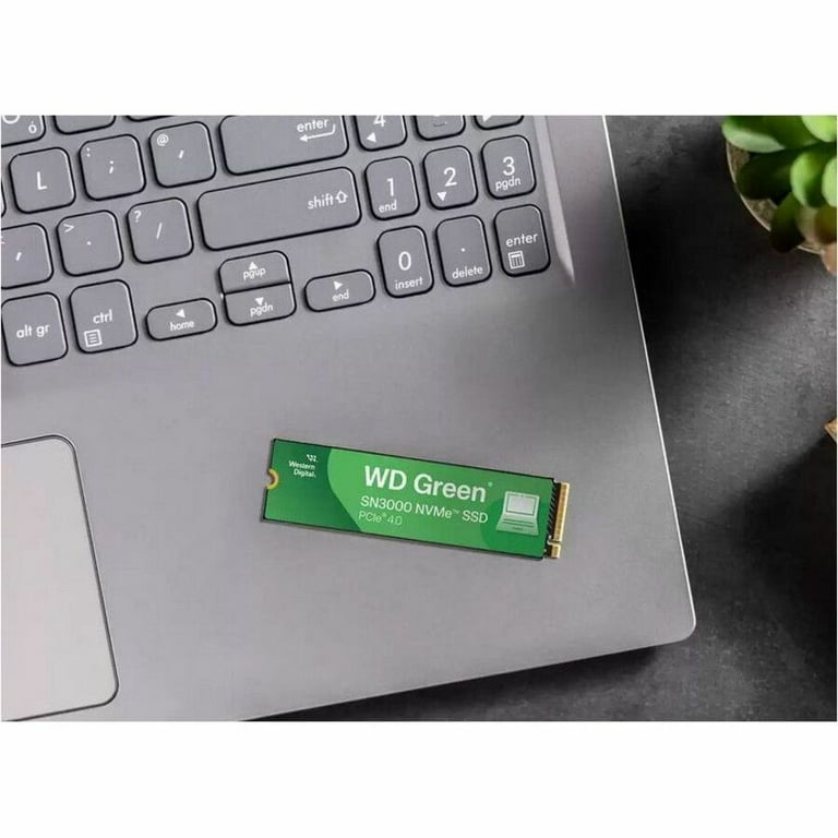 WD Green SN3000 WDS200T4G0E-00CPS0 2 TB Solid State Drive, M.2