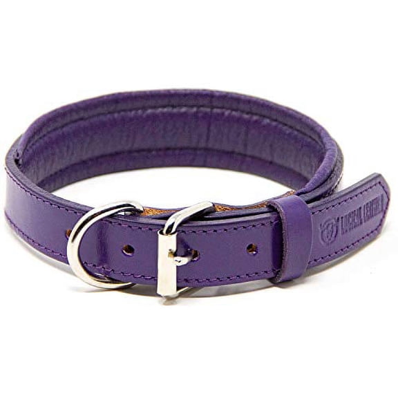 Logical Leather Padded Dog Collar - Best Full Grain Heavy Duty Genuine Leather Collar - Purple - Medium