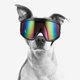 thumbnail image 3 of unbranded Gafas Para Perro Multicolor Con Protección Solar Y A De Viento Para Raza, 3 of 6