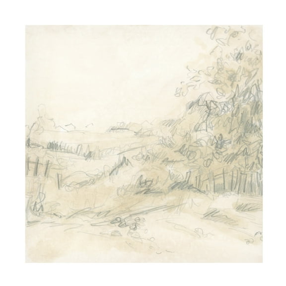 Trademark Fine Art June Erica Vess Parchment Field Study II Canvas Wall Art