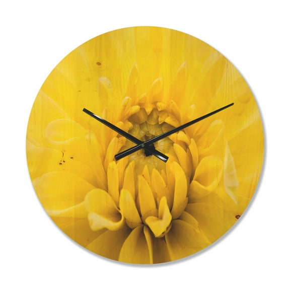 Designart 'Close Up Yellow Chrysanthemum Gold Flower ' Modern Wood Wall Clock