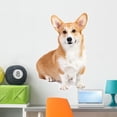 thumbnail image 1 of Corgi Dog Studio Wall Decal by Wallmonkeys Peel and Stick Graphic (36 in H x 24 in W) WM37151, 1 of 4