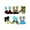 Multi, variant on TeeHee Little Boys Cotton Fashion Crew Socks 6 Pair Pack for Boys