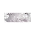 thumbnail image 5 of Kenneth Cole White Perfume Gift Set for Women, 2 Pieces, 5 of 7