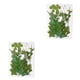 thumbnail image 1 of Advancent Hoja seca natural DIY Arte hecho a mano Planta en relieve Hojas prensadas Decoración Hogar Decorativo para tarjetas de boda de resina Hoja verde 12 2piezas Advancent CBP163988, 1 of 5