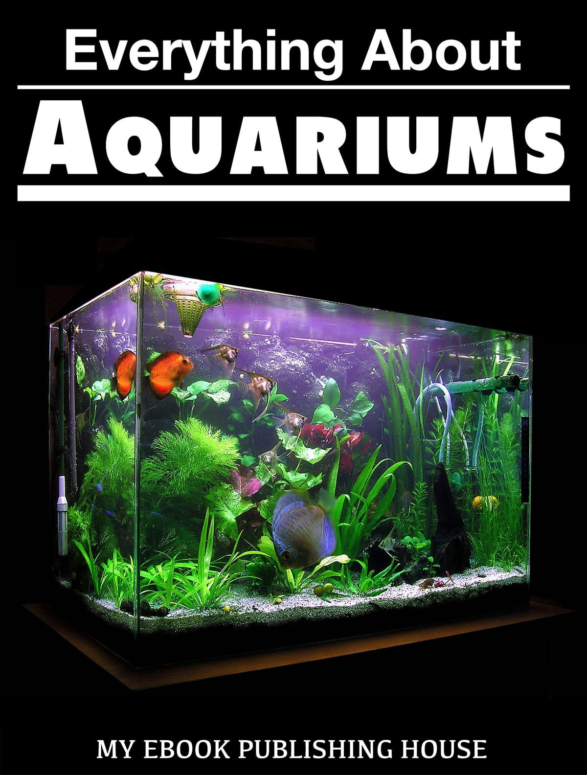 Everything About Aquariums eBook