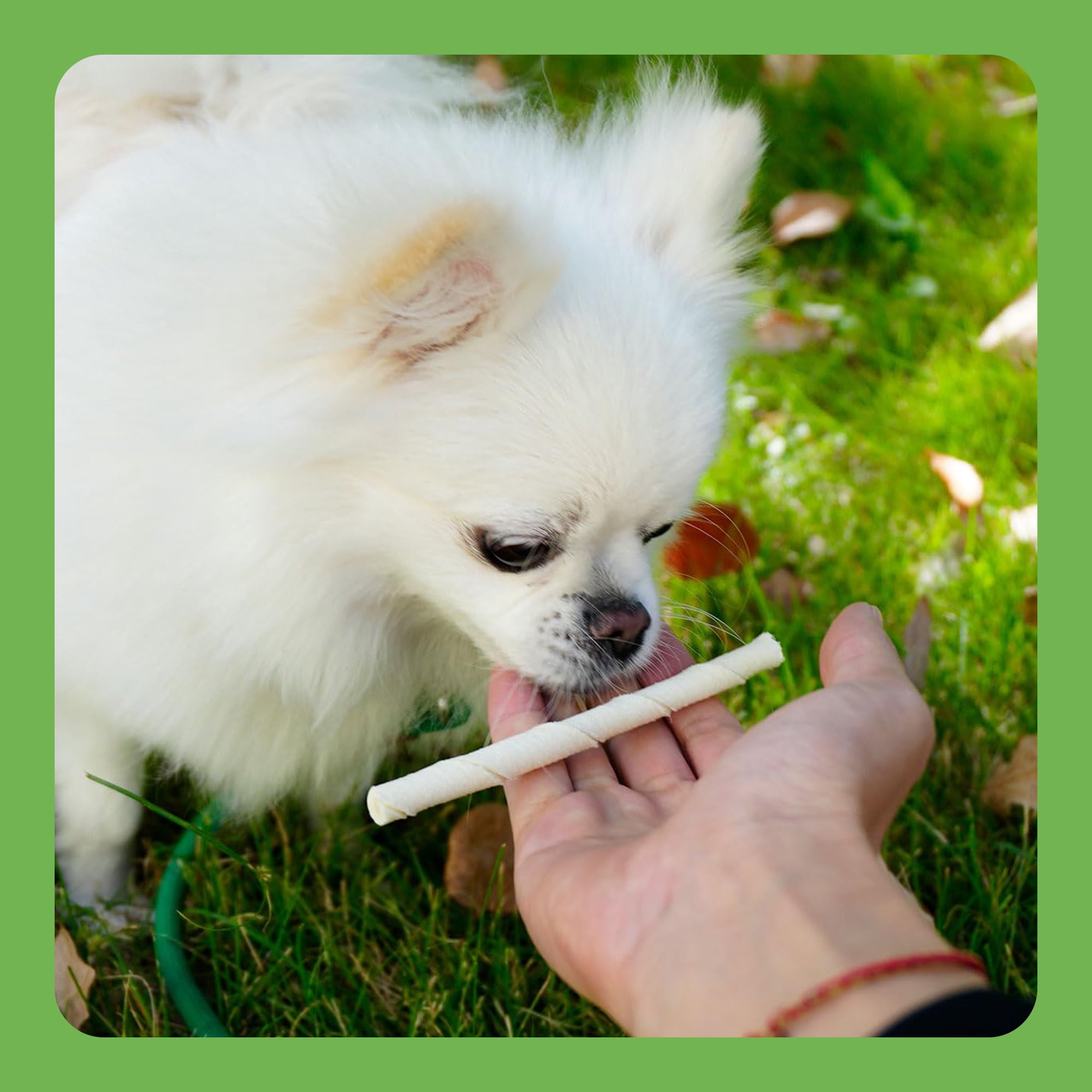 MON2SUN Rawhide Twist Sticks Small Dog Treats, 25.4 oz (120 Count),