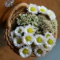 thumbnail image 3 of Hanging Woven Storage Basket, Artificial Wicker Storage Basket Portable Flower Plants Fruit Basket, Wall Mounted Storage Basket for Home Garden Farmhouse, 3 of 5