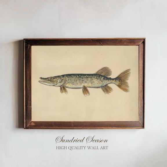 Muskellunge Vintage Illustration Print, Antique Scientific Freshwater Fish, Lake House Wall Art For Fishermen Cabin Or Angler Home Decor UNFRAMED Poster, Wall Art for Decor, Present, 8x12