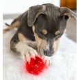 thumbnail image 2 of Pet Qwerks Blinky Babble Ball Dog Toy, Flashes & Sounds, Small, 2 of 3
