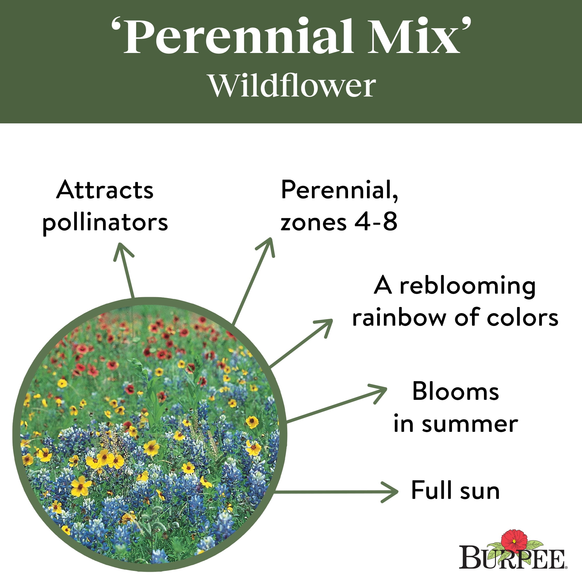 Burpee Perennial Mix Wildflower