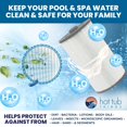 thumbnail image 4 of Cartucho de Filtro Sundance Spas 6540-501 75 pies², 4 of 6