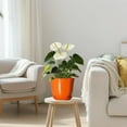 thumbnail image 6 of Ordivic Orange 6 inch Reactive Glaze Ceramic Pot, Saucer & Drainage Hole, Succulents Indoor Gift, 6 of 7