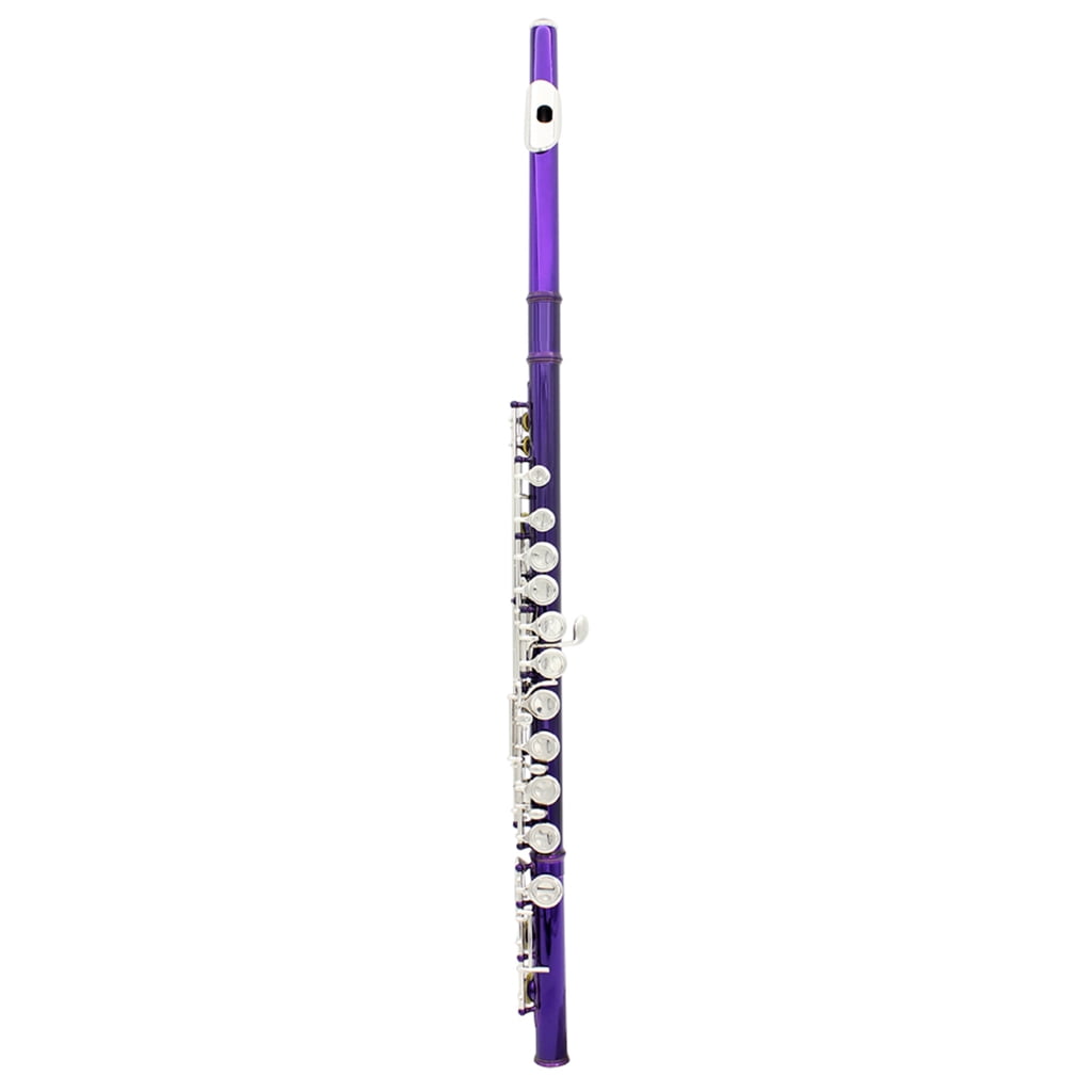 Closed Hole C Flute 16 Keys Flutes Professional Horizontal Flute With Bag Cloth Stick Woodwind Instrument