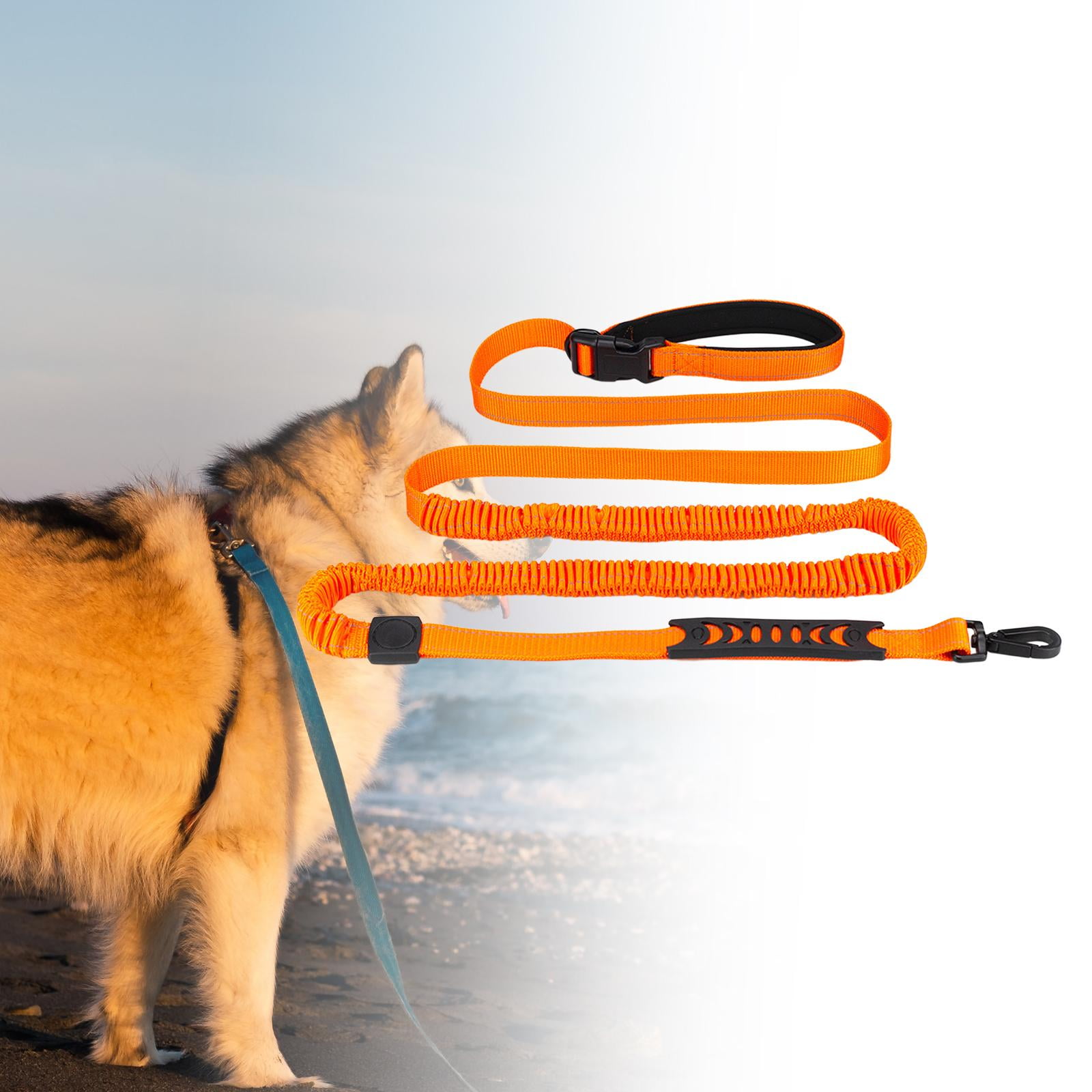 Anti shock dog leash online