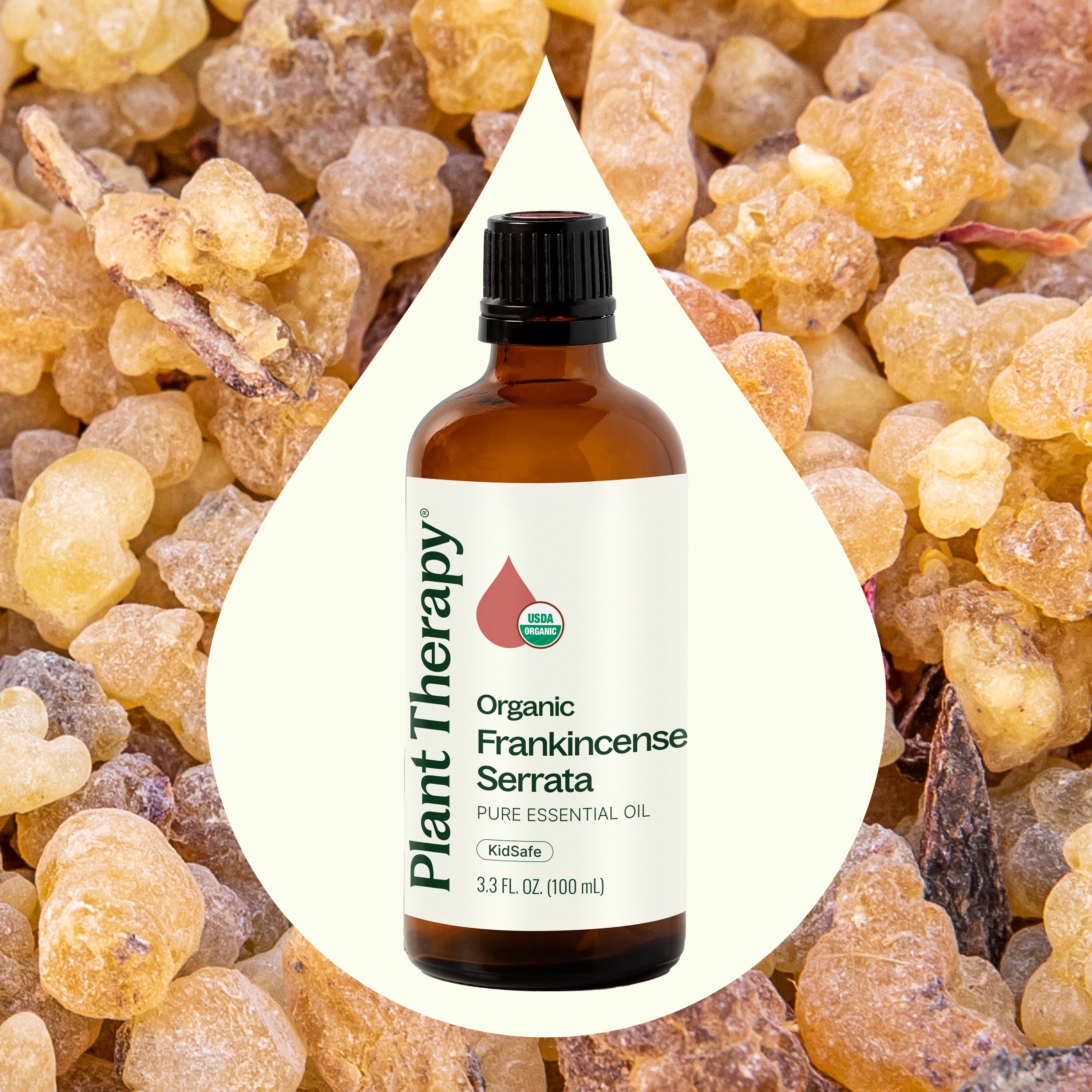 Plant Therapy Organic Frankincense Serrata Essential Oil 100% Pure, USDA Certified Organic, Undiluted, Natural Aromatherapy 100 mL (3.3 oz)