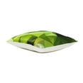 thumbnail image 2 of Oussum Floral Decorative Throw Pillows Cases Printed Cushion Covers, Size 16x16 Inches, 2 of 4