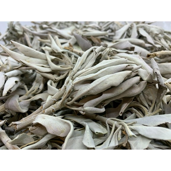 Loose White Sage Smudge Leaves & Clusters, California White Sage Clusters, Loose Leaf, Cleansing, House Blessings, Wholesale Bulk Lot (16 oz/1 lb)