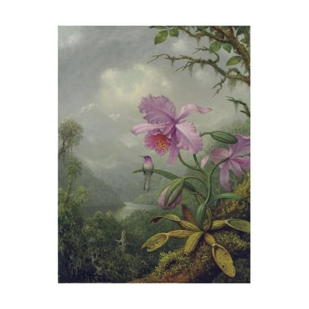 Hummingbirds Animals - Hummingbird Perched on an Orchid Plant, 1901 Traditional Animal Floral Botanical Art Print Wall Art By Martin Johnson Heade