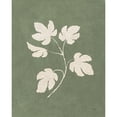 thumbnail image 3 of Purinton, Julia 12x14 Black Modern Framed Museum Art Print Titled - Botanical Study III Forest Green, 3 of 5