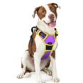 thumbnail image 1 of Arnés para perros Rabbitgoo sin tirones, ajustable, morado y amarillo, L, 1 of 6