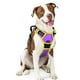 thumbnail image 1 of Arnés para perros Rabbitgoo sin tirones, ajustable, morado y amarillo, L, 1 of 6