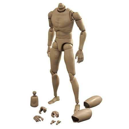 narrow shoulder 1:6 scale action figure male body toys for ttm18 ttm19 by