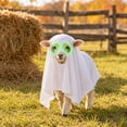 thumbnail image 5 of Roiihwy Halloween Dog Costumes, Ghost Cute Party Halloween Costumes Trick or Treat Party Cosplay White Ghost Costume for Dog Cat, 5 of 7