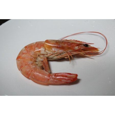 LAMINATED POSTER Food Shrimp Seafood Shrimp Tempura Cooking Poster Print 24 x (Best Frozen Shrimp Tempura)