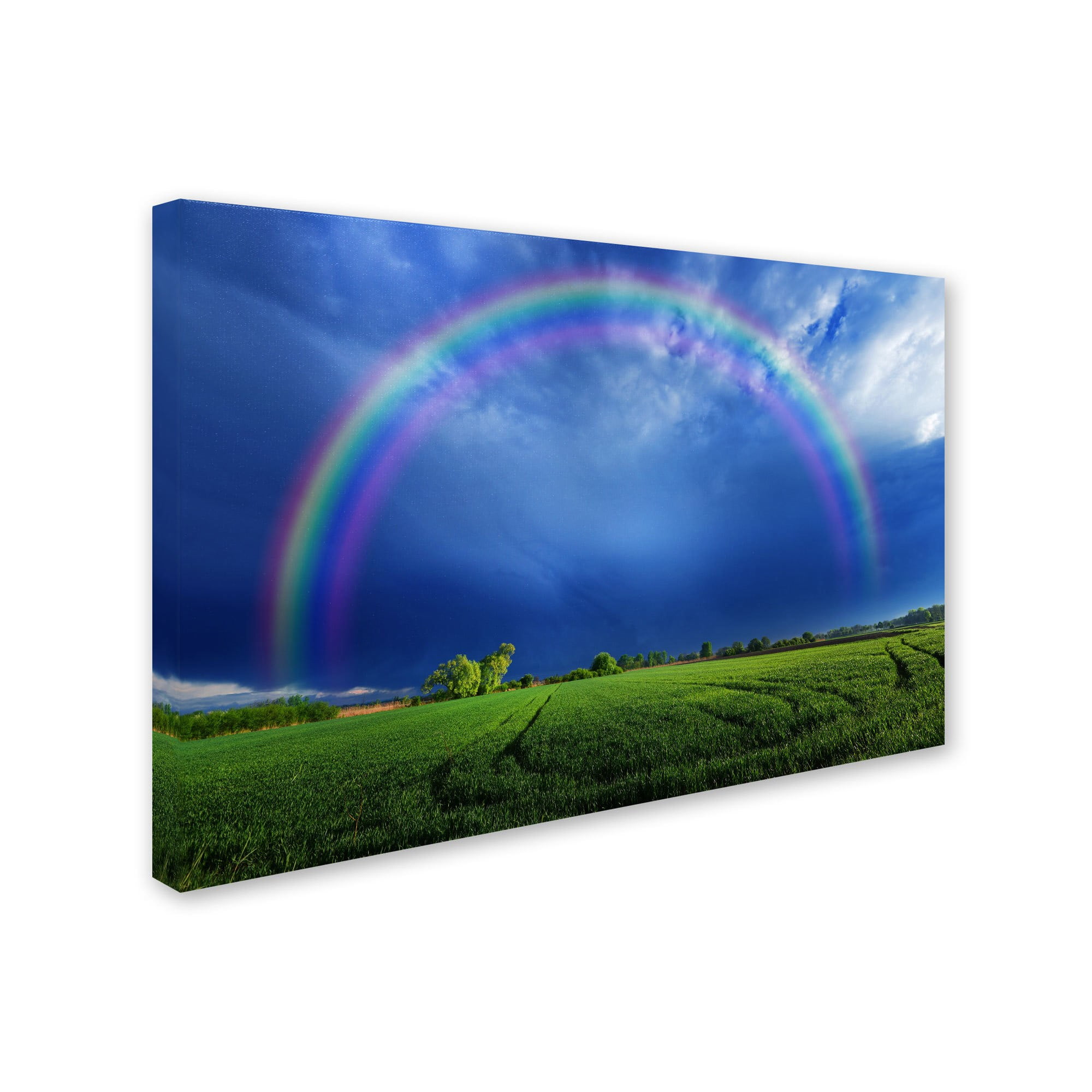 Trademark Fine Art "Lucky Rainbow" Canvas Art by Philippe Sainte-Laudy