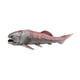 thumbnail image 5 of Figura de Dunkleosteus, criatura marina, juguete educativo, modelo animal prehistórico, figura para niñas mayores de 3 años, regalo de cumpleaños para 1780, 5 of 8