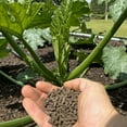 thumbnail image 6 of Coop Gro Organic Chicken Litter Fertilizer, 25 lb with OMRI-Certification for Plants and Gardens, 6 of 6