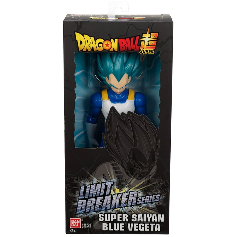 Super Saiyan Blue Goku and Vegeta (Dragon Ball Super) Poster for