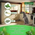 thumbnail image 2 of 12 Pack Mole Repellent, Mouse Repellent, Groundhog Repellent, Gopher Repellent, Vole Repellent for Lawn Garden Yard Outdoor, Armadillo Repellent, Mole, 2 of 4